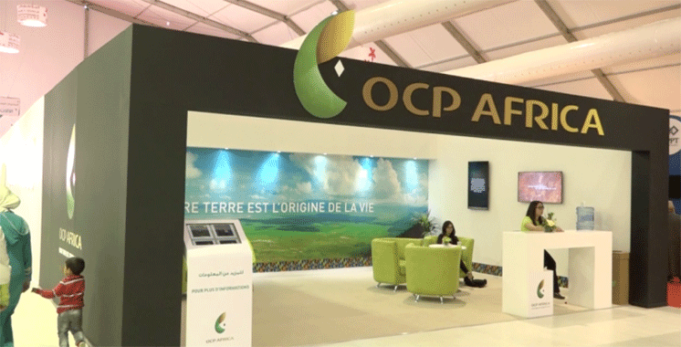 OCP Africa, une vision pour l’Afrique