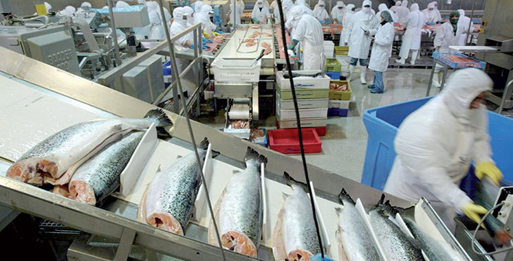 Valorisation des produits de la pêche : Agadir Haliopôle Cluster planche sur «l’usine du futur»