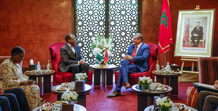 Aziz Akhannouch et le président de la BAD veulent renforcer le partenariat financier