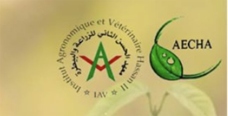 Initié par les étudiants de l’IAV CHA, Agadir accueille la 15e édition du Forum Aecha-Entreprises