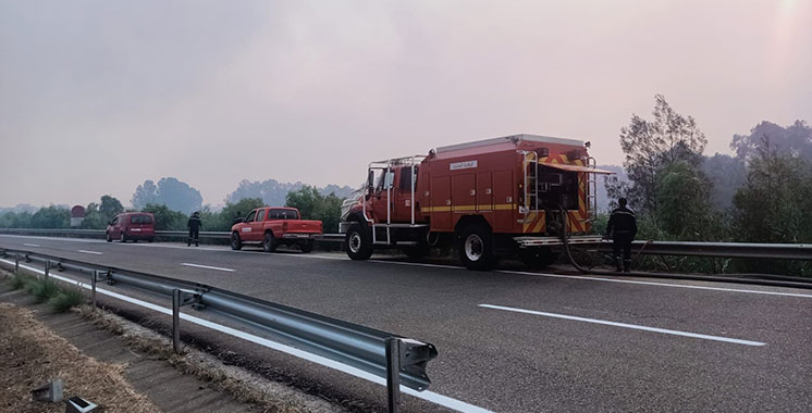 Les opérations se poursuivent pour maîtriser les incendies qui se sont déclarés dans plusieurs forêts de la province de Larache