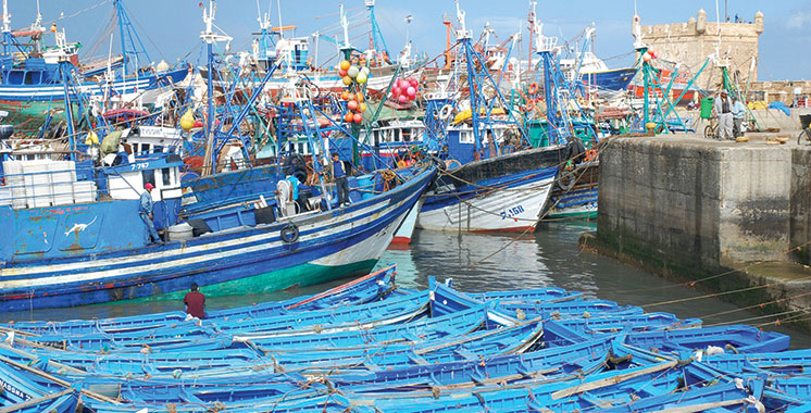 Pêche : Les segments côtier et artisanal dopent l’activité