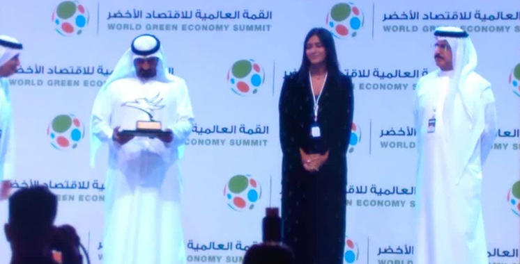 Le Cluster EnR décroche le premier prix du Emirates Energy Awards