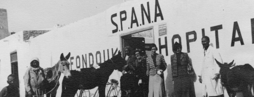 La SPANA a notamment permis la création des premières cliniques vétérinaires équipées en Afrique du Nord / Ph. DR.