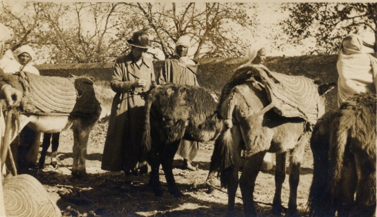 Kate Hosali soignant des ânes et des mulets en Afrique du Nord. / Ph. DR.