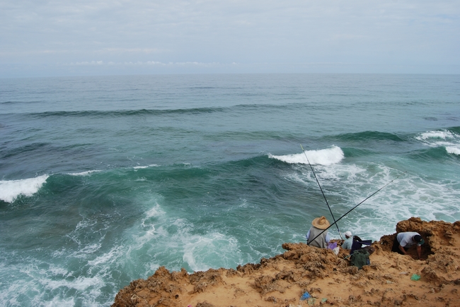 Les pêcheurs profitent des bienfaits de l’upwelling / Ph. Julie Chaudier - Yabiladi