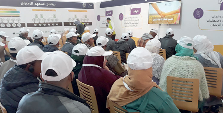 Au cœur de la province de Kelâa des Sraghna : OCP lance son dispositif Al Moutmir pour la culture de l’olivier