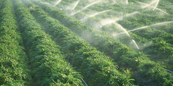 Irrigation: Plus de 750.000 ha équipés d’installations économes en eau