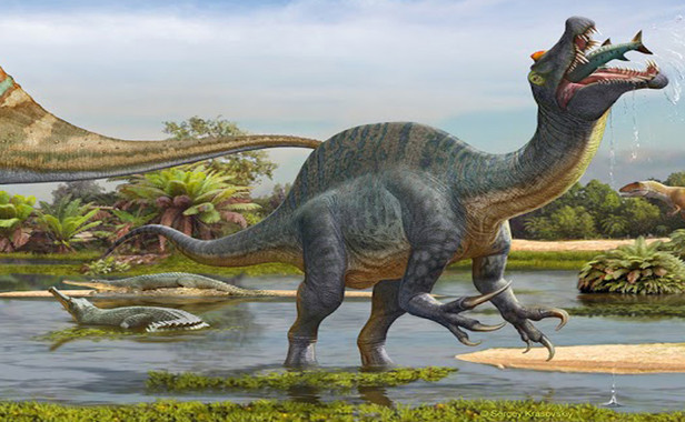 Illustration d'un Spinosaurus. / Ph. Sergey Krasovskiy