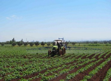 Développement des filières de production agricole: Signature de 19 contrat-programmes d'un montant d