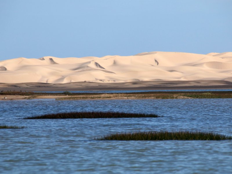 Une diversité de paysages peuvent être observés à la lagune de Naïla. / Ph. DR