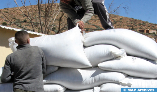 Béni Mellal-Khénifra : Distribution de 719 mille qx d’orge subventionnée au profit des agriculteurs de la région